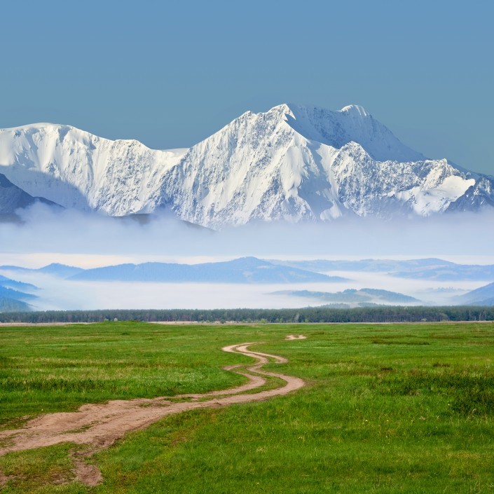 shutterstock_124398943
